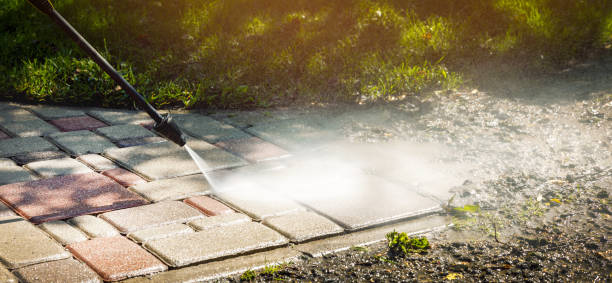 Best Animal Enclosure Cleaning  in Statesville, NC